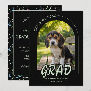 Remise de diplômes pour chiots avec invitation pho