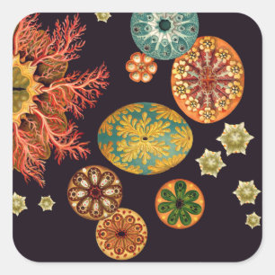 Remix-Aufkleber für Sea Squirt Quadratischer Aufkleber