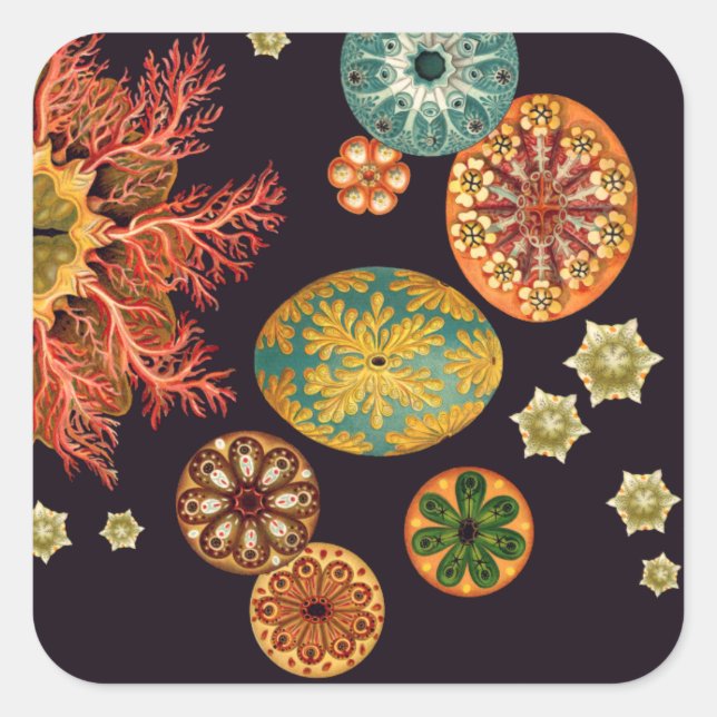 Remix-Aufkleber für Sea Squirt Quadratischer Aufkleber (Vorderseite)