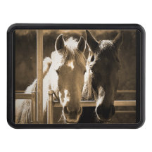 Couverture d'accroc de cheval deux