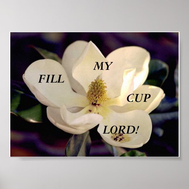 Remplissez Ma Coupe ! Affiche (Devant)