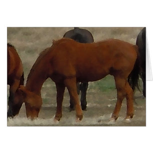 Remuda Herd Grazes - Ranch Kuh Pferde - Leere