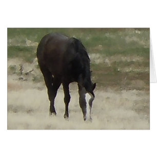 Remuda Herd Grazes - Ranch Kuh Pferde - Leere