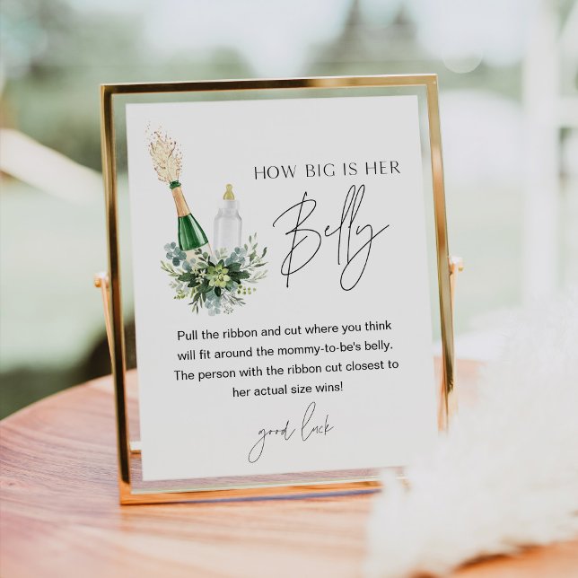 REMY Wie groß ist ihr Baby-Duschspiel? Poster (Von Creator hochgeladen)