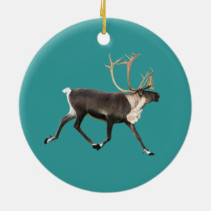 Ren - Caribou mâle Keramikornament