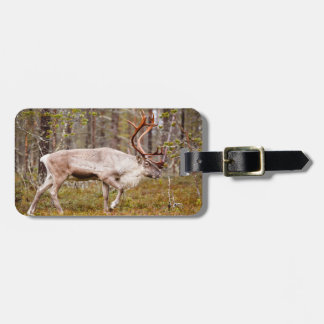 Ren, das in Wald geht Gepäckanhänger