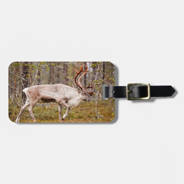 Ren, das in Wald geht Gepäckanhänger (Vorderseite horizontal)