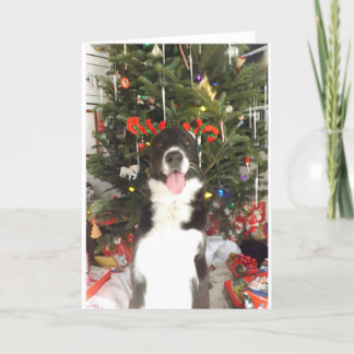 Ren-Geweih-Hundeweihnachtskarte Feiertagskarte