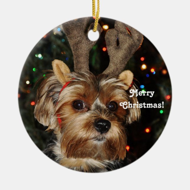Ren-Hörner Yorkshire Terrier, frohe Weihnachten! Keramikornament (Vorne)