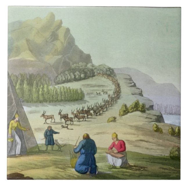 Ren in Herden lebend, überziehen Lappland, 47 von Fliese (Vorderseite)