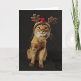 Ren-Spiel-somalischer Katzen-Feiertag Feiertagskarte