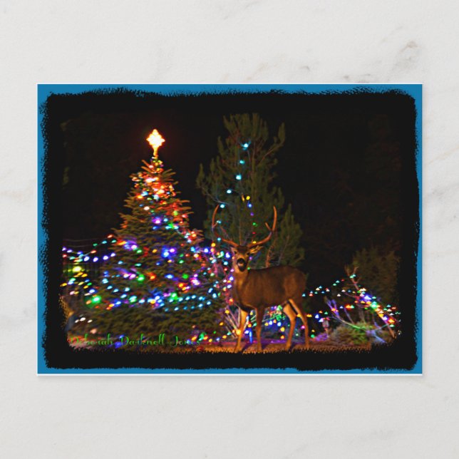Ren- und Weihnachtslichter Postkarte (Vorderseite)