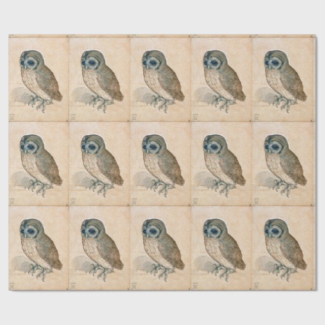 RENAISSANCE-ANIMAL-ZEICHNUNGEN /DAS EIGENTUM GESCHENKPAPIER (Flach)