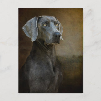 Renaissance Blue Postcard Postkarte