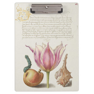 Renaissance-Kaligrafiekunst Rosa Tulpe und Birne Klemmbrett