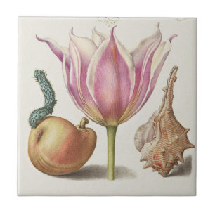 Renaissance-Kalligrafiekunst rosa Tulpe und Birne Fliese