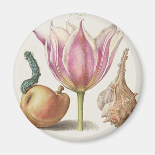 Renaissance-Kalligrafiekunst Rosa Tulpe und Birne Magnet