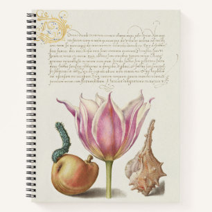 Renaissance-Kalligrafiekunst rosa Tulpe und Birne Notizbuch
