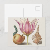 Renaissance-Kalligrafiekunst rosa Tulpe und Birne