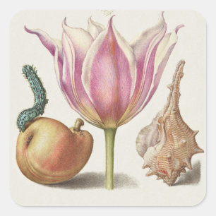 Renaissance-Kalligrafiekunst Rosa Tulpe und Birne Quadratischer Aufkleber