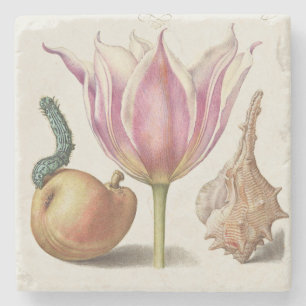 Renaissance-Kalligrafiekunst rosa Tulpe und Birne Steinuntersetzer