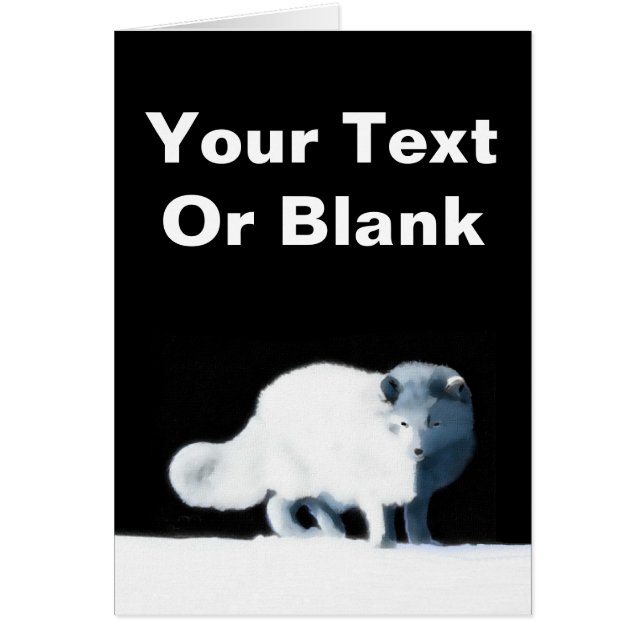 Renard arctique (Devant)