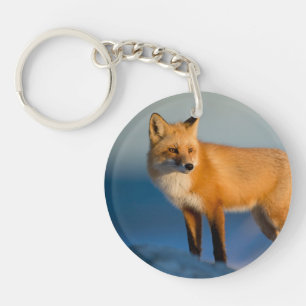 Renard Brown