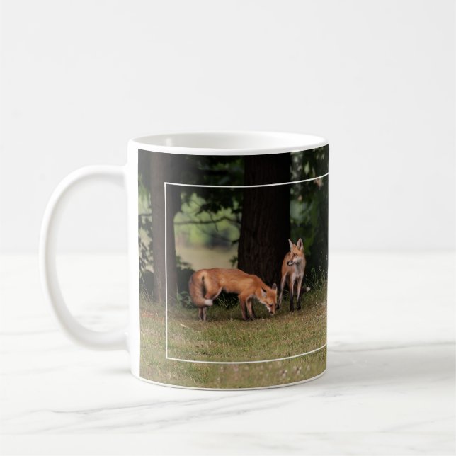 Renard Famille Sortir Blanc Frontière Café Mug (Gauche)