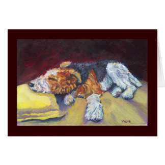 Renard filaire Terrier Nap