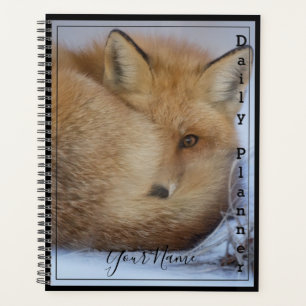 Renard - Planificateur quotidien - HAMbWG