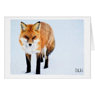 Renard rouge/faune Art/aquarelle