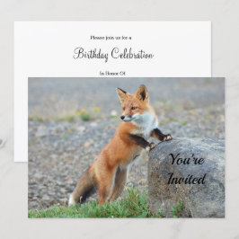 Renard rouge permanent Invitation anniversaire