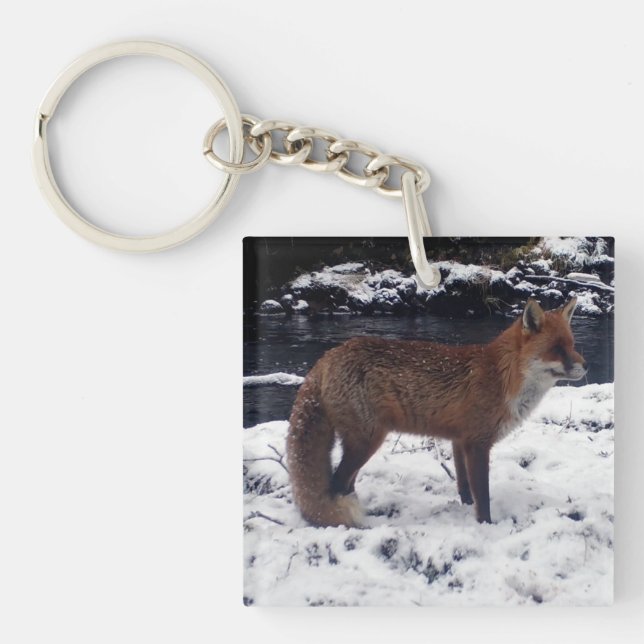 Renard roux faune hiver neige forêt animal (Devant)