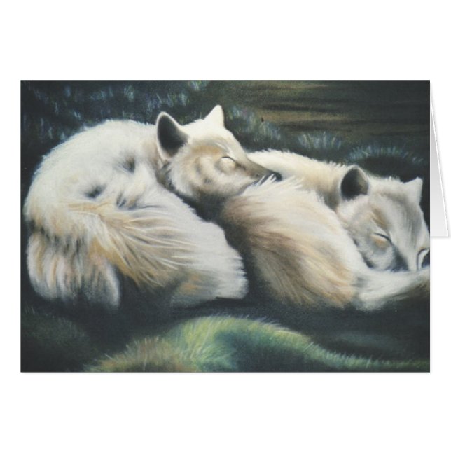 "Renards arctiques " (Devant horizontal)