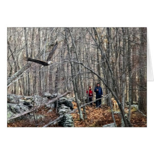 Rencontre de l'aigle à tête blanche