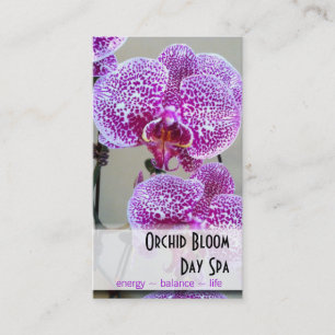 Rendez-vous pourpre varié de photo d'orchidée