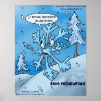 Rene Descartes Snowflake Funny Posters