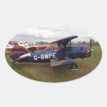Renegade Biplane
