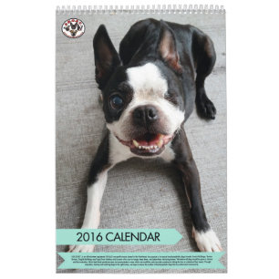 RENIFLEZ le calendrier 2016
