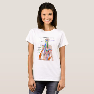 Renin-Angiotensin-System-Diagramm T-Shirt