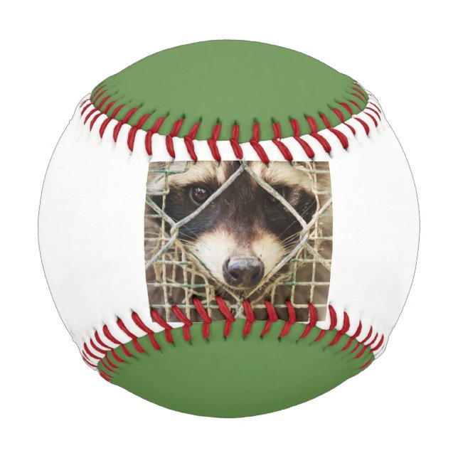 Rennbaseball Baseball (Rückseite)