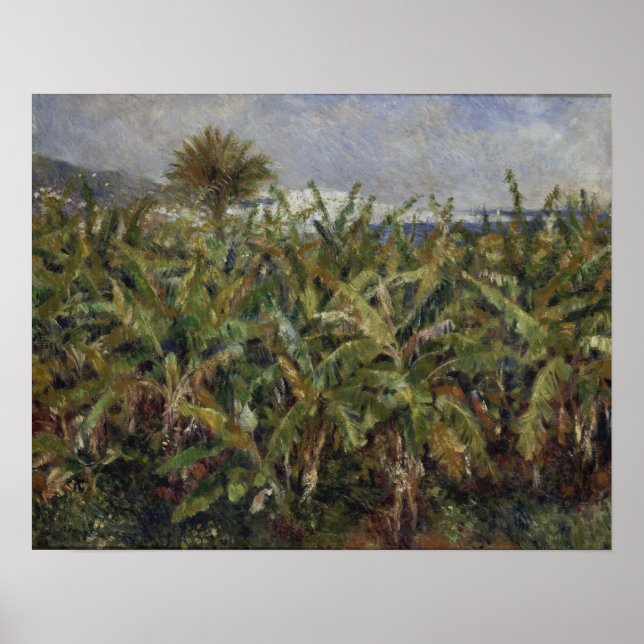Renoir - Bananenbaumfeld Poster (Vorne)