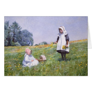 Renoncules et marguerites