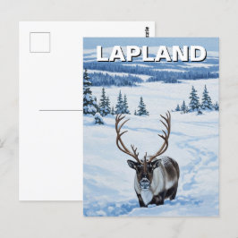 Rentier in Lappland Finnland Reise Postkarte
