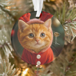 Rentier Kätzchen Ornament