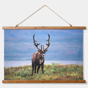 Rentier   Nationalpark Denali, Alaska Wandteppich Mit Holzrahmen