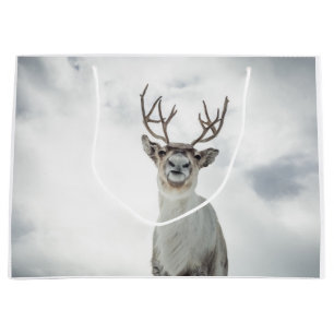 Rentier Nature Foto Große Geschenktüte