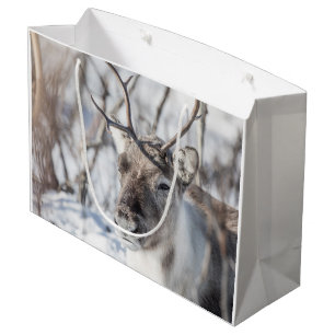 Rentier Nature Foto Große Geschenktüte