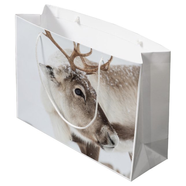 Rentier Nature Foto Große Geschenktüte (Rückseite Schrägansicht)