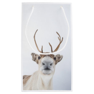 Rentier Nature Foto Kleine Geschenktüte